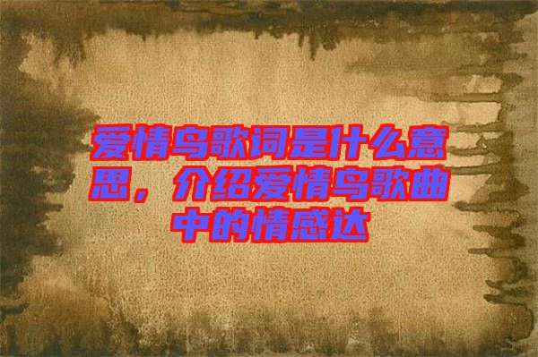 愛情鳥歌詞是什么意思，介紹愛情鳥歌曲中的情感達(dá)