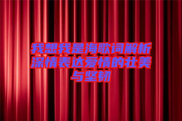 我想我是海歌詞解析深情表達(dá)愛情的壯美與堅(jiān)韌