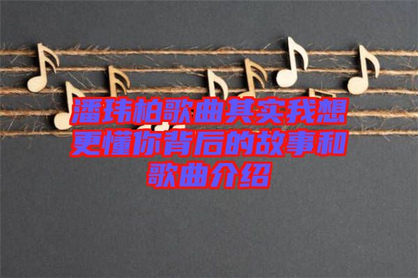 潘瑋柏歌曲其實(shí)我想更懂你背后的故事和歌曲介紹