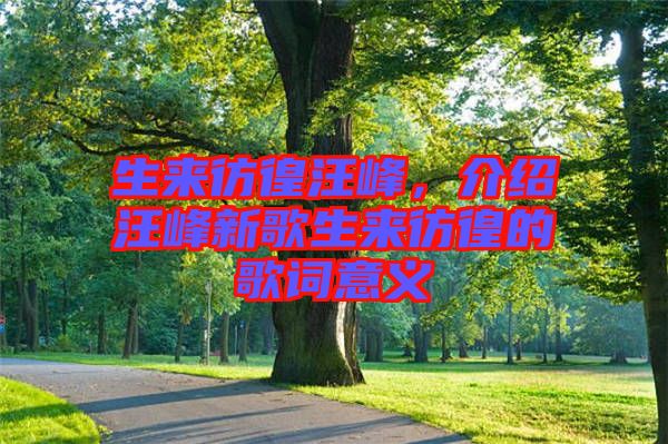 生來彷徨汪峰，介紹汪峰新歌生來彷徨的歌詞意義