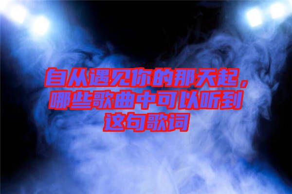 自從遇見你的那天起，哪些歌曲中可以聽到這句歌詞