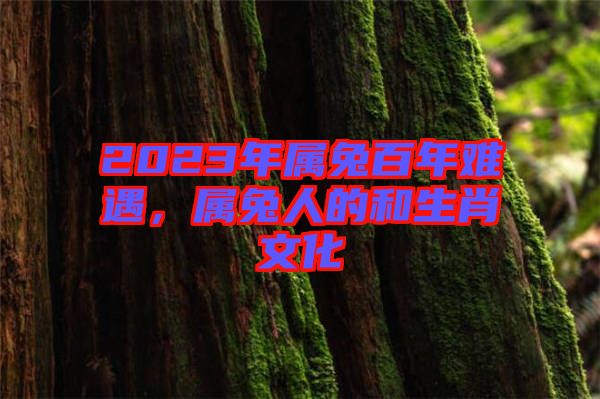 2023年屬兔百年難遇，屬兔人的和生肖文化