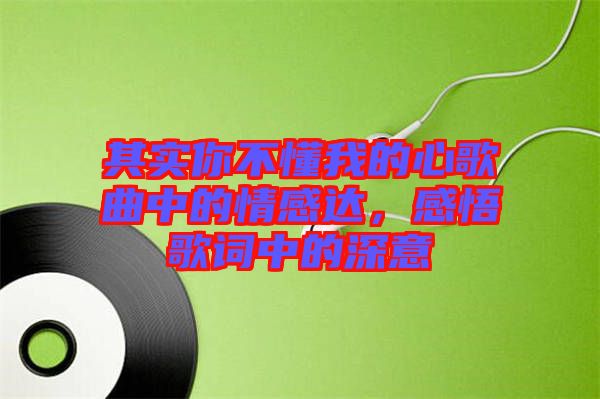 其實(shí)你不懂我的心歌曲中的情感達(dá)，感悟歌詞中的深意