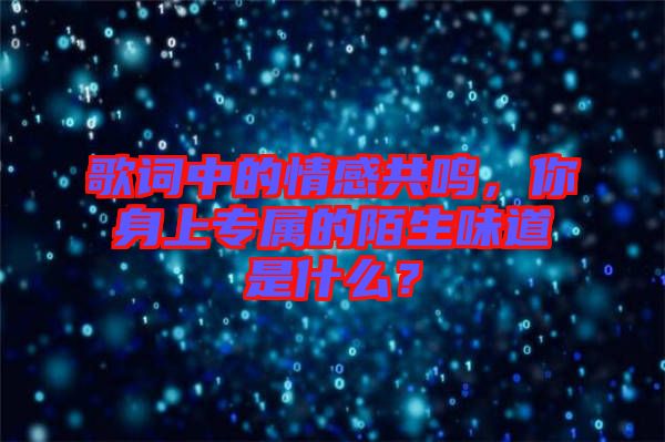 歌詞中的情感共鳴，你身上專屬的陌生味道是什么？