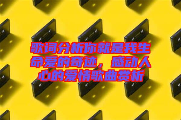 歌詞分析你就是我生命愛的奇跡，感動(dòng)人心的愛情歌曲賞析