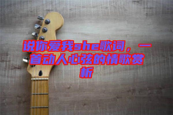 說你愛我she歌詞，一首動人心弦的情歌賞析