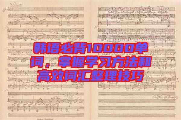 韓語必背10000單詞，掌握學(xué)習(xí)方法和高效詞匯整理技巧