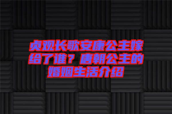 貞觀長歌安康公主嫁給了誰？唐朝公主的婚姻生活介紹