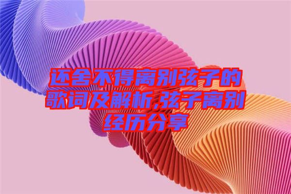 還舍不得離別弦子的歌詞及解析,弦子離別經(jīng)歷分享