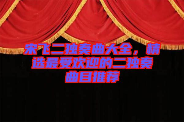 宋飛二獨(dú)奏曲大全，精選最受歡迎的二獨(dú)奏曲目推薦