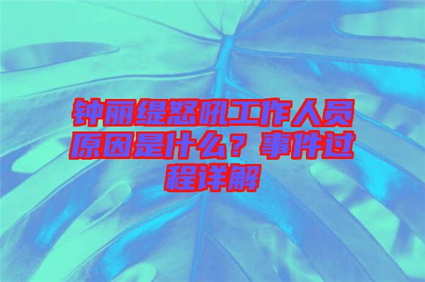 鐘麗緹怒吼工作人員原因是什么？事件過程詳解