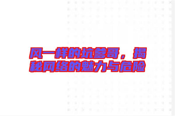 風(fēng)一樣的坑爹哥，揭秘網(wǎng)絡(luò)的魅力與危險