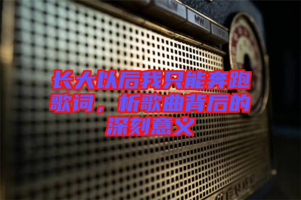 長大以后我只能奔跑歌詞，析歌曲背后的深刻意義