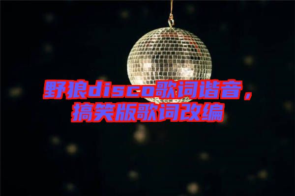 野狼disco歌詞諧音，搞笑版歌詞改編